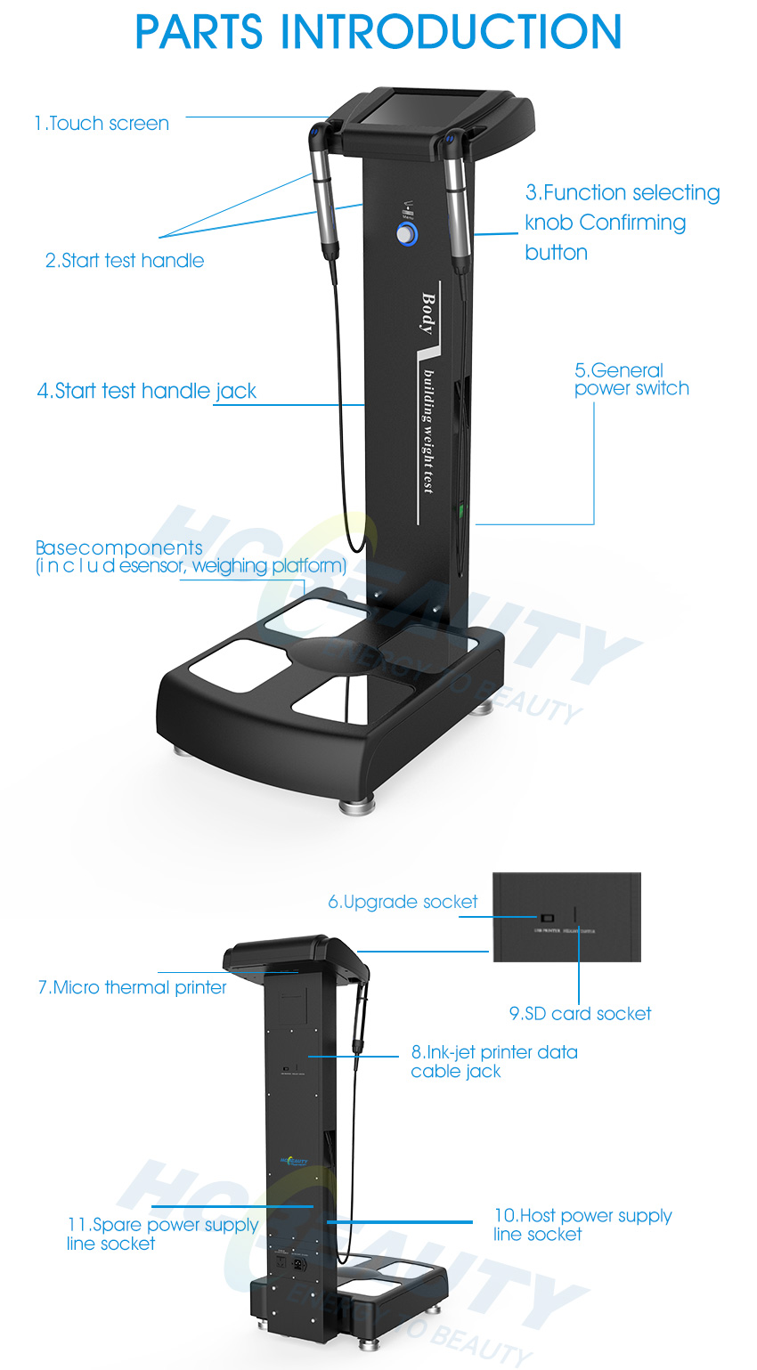 Professional body composition analysis machine india
