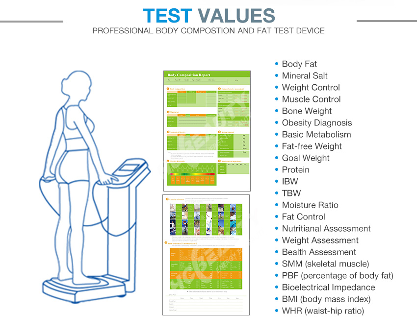 Measure fat percentage body composition equipment