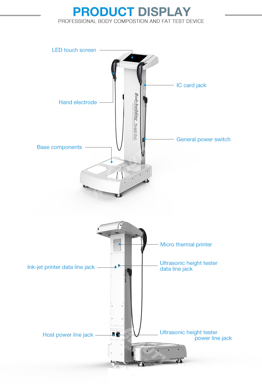 Measure fat percentage body composition equipment