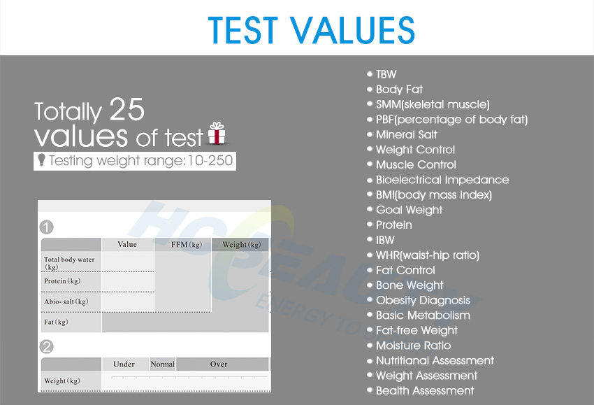 Professional body composition analysis machine india