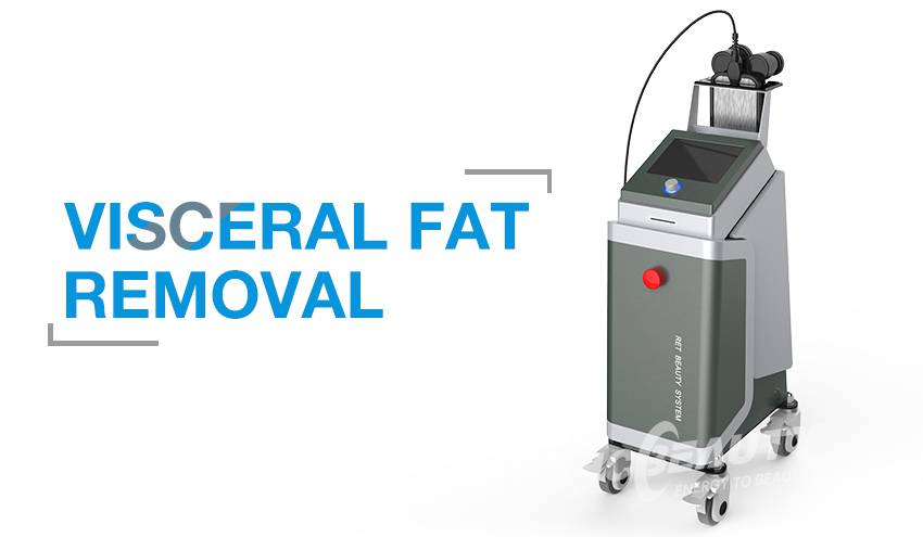 Visceral Fat Removal Equipment RET Slimming for Sale RET100