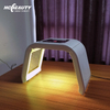 Professional Led Light Therapy Equipment Acne Removal