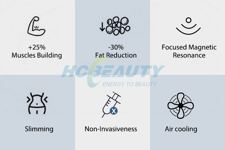 2 Handles Fat Sculpting Stimulator Muscle Bodi Ems Weight Loss Machine