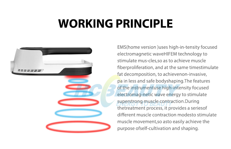 2 Handles Fat Sculpting Stimulator Muscle Bodi Ems Weight Loss Machine