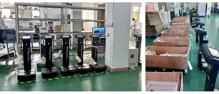 Medical Device Manufacturer Body Composition Machine Price