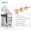 9 in 1 with 11 Modes Convenient Face Lifting Skin Rejuvenation Oxygen Facial Machine for Sale