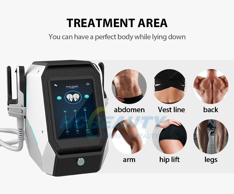 2 Handles Fat Sculpting Stimulator Muscle Bodi Ems Weight Loss Machine