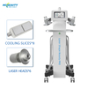 Multifunctional Weight Loss Professional 6d Laser Freezen Paddles Fat Removal Laser Machine