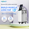 2 in 1 360 Handles Cold Therapy EMS Hiemt Sculpting Machine