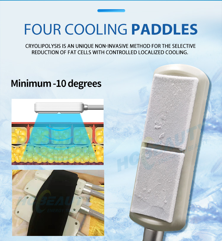 Diode 6D Laser Slimming Equipment