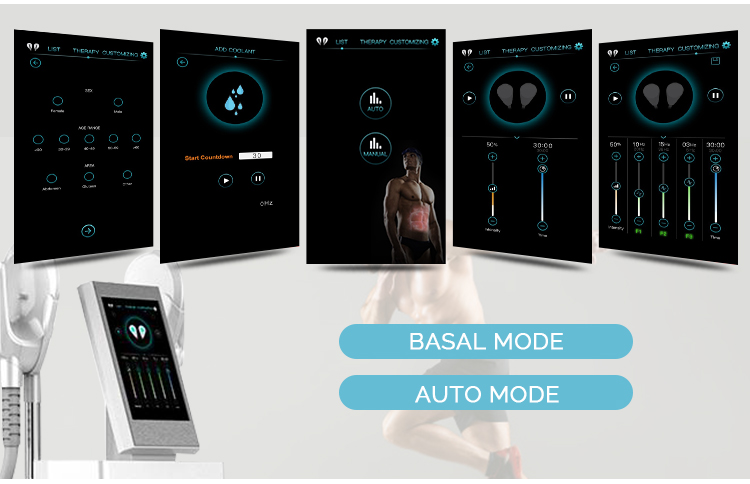 Hi-emt Professional Muscle Body Shape Emslim Beauty Equipment