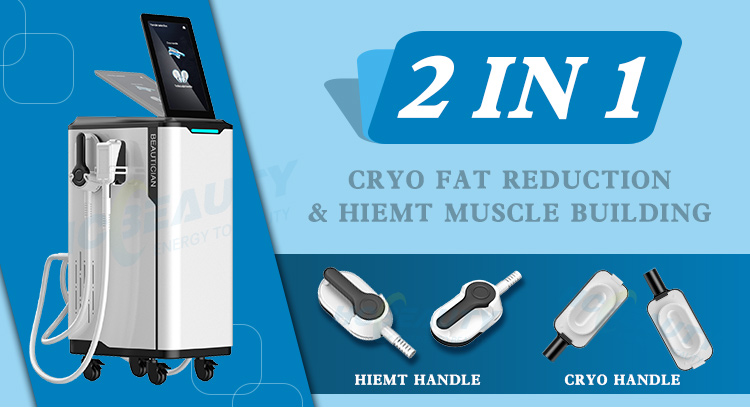 Professional 360 Degrees Cryolipolysis Machine