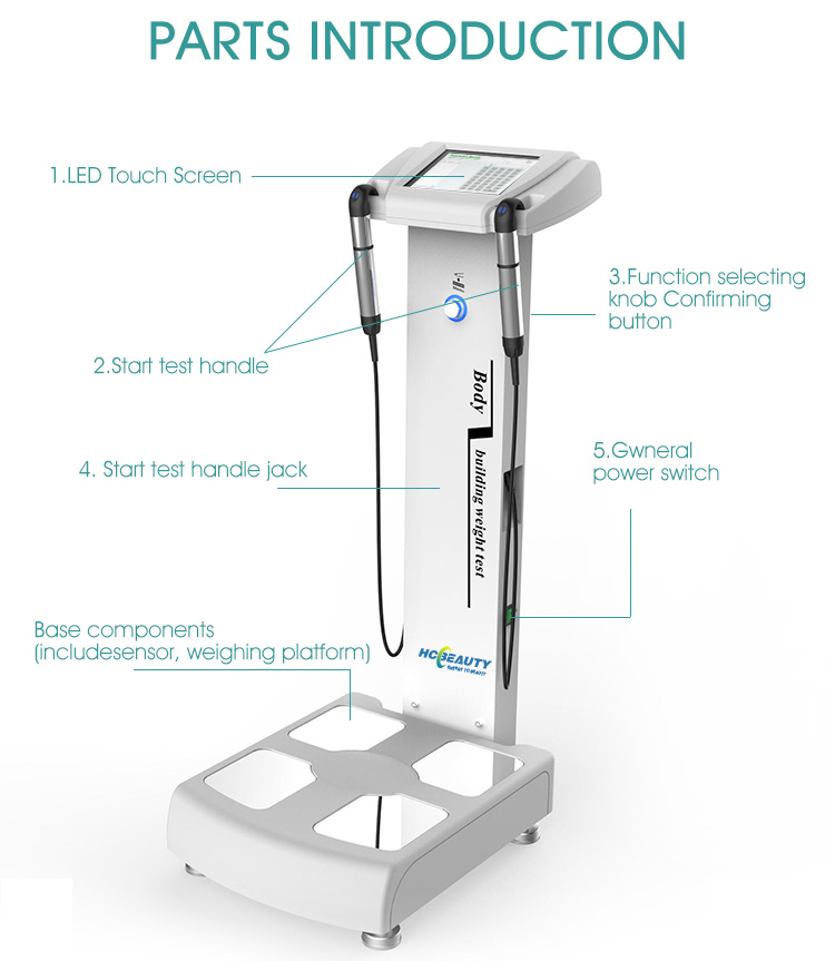 Physical fitness best professional body composition analyzer