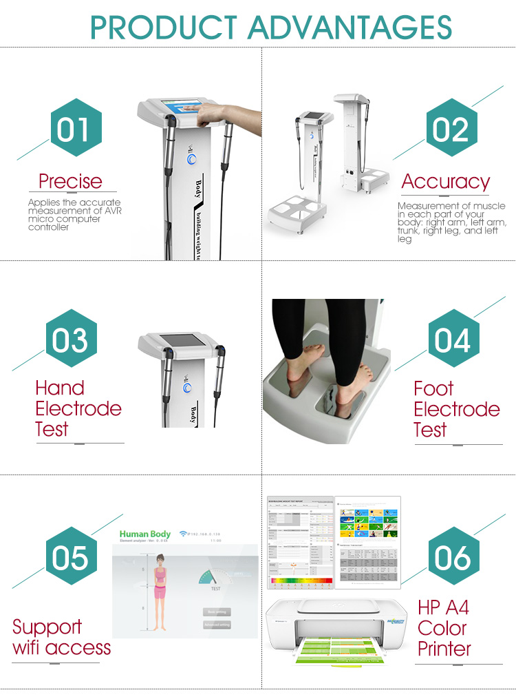 Physical fitness best professional body composition analyzer