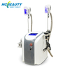 At Home Fat Freezing Machine Weight Loss