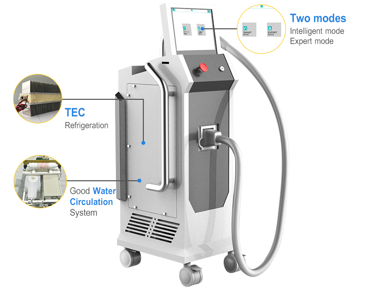 Портативный Лазерный Стиль 532nm 1064nm Стоимость Татуировки Для Удаления Машины